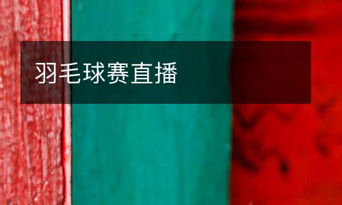 羽毛球賽直播